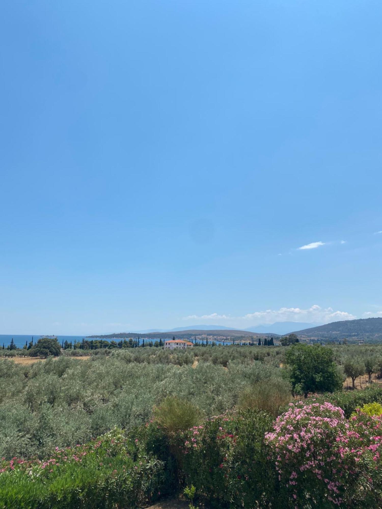 Georges Villa Galaxidi, Family, Pool And Garden Екстериор снимка