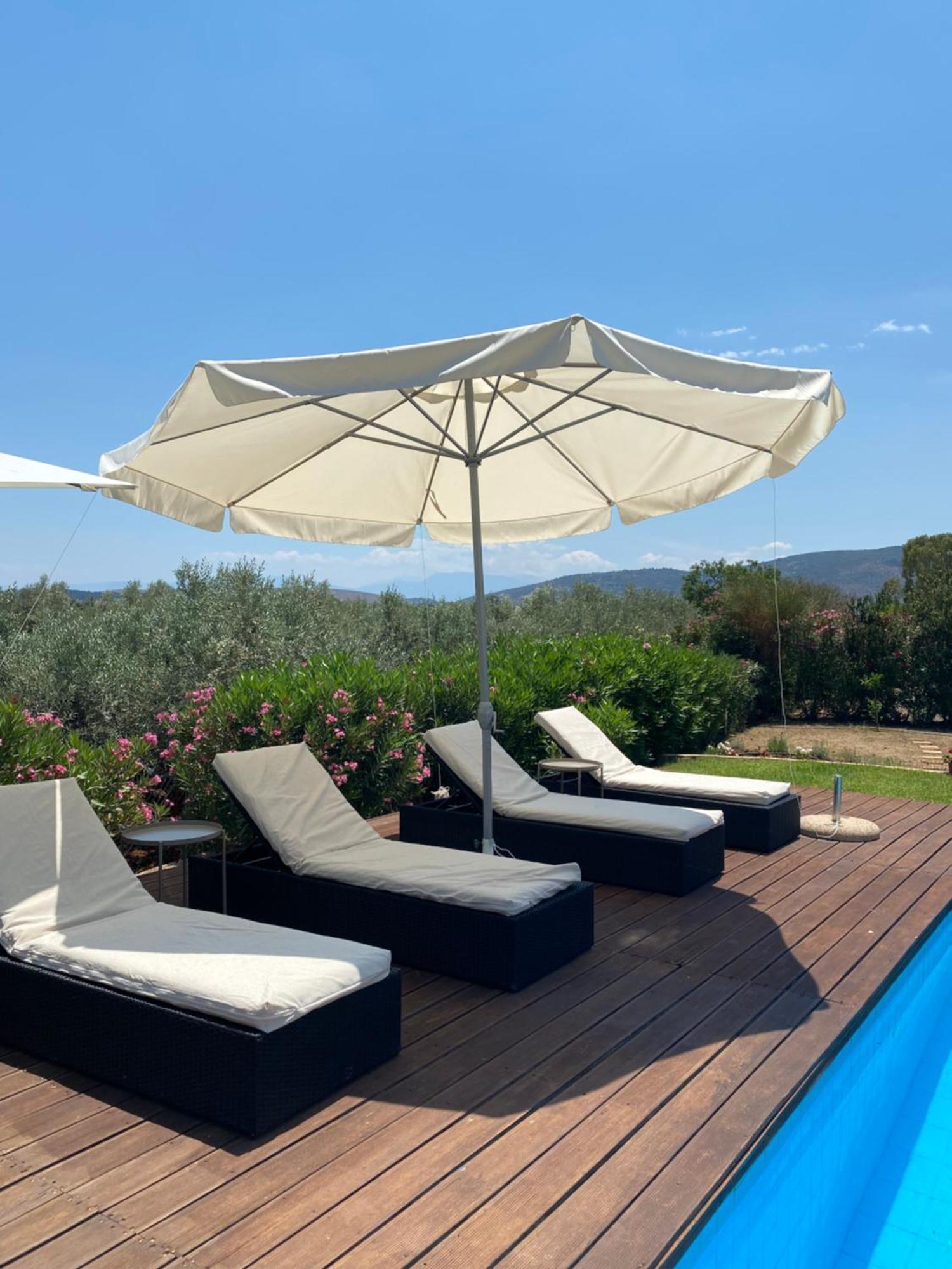 Georges Villa Galaxidi, Family, Pool And Garden Екстериор снимка