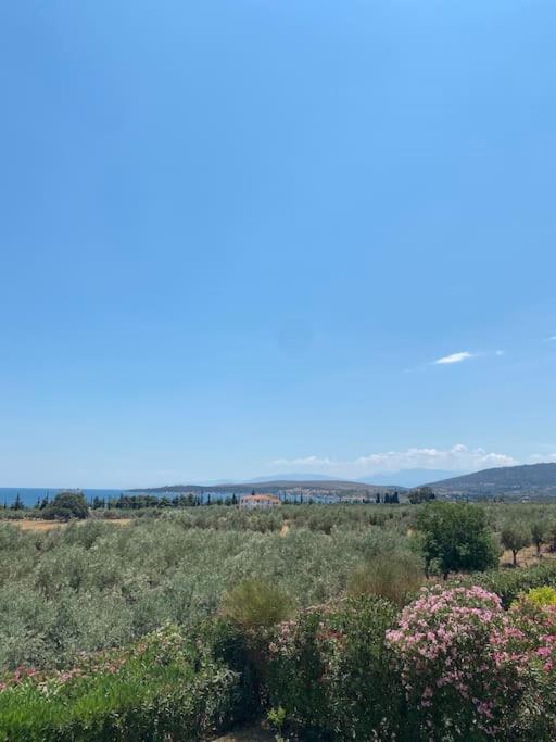 Georges Villa Galaxidi, Family, Pool And Garden Екстериор снимка