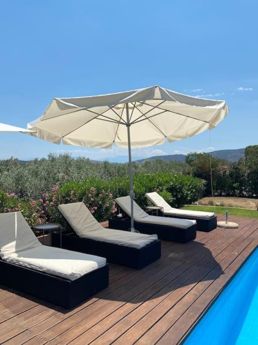 Georges Villa Galaxidi, Family, Pool And Garden Екстериор снимка
