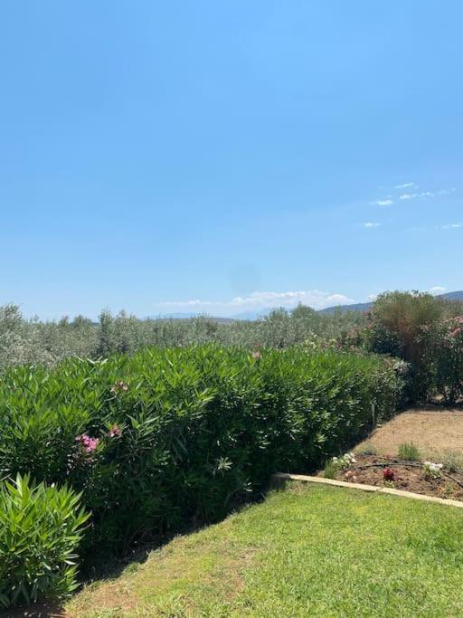 Georges Villa Galaxidi, Family, Pool And Garden Екстериор снимка