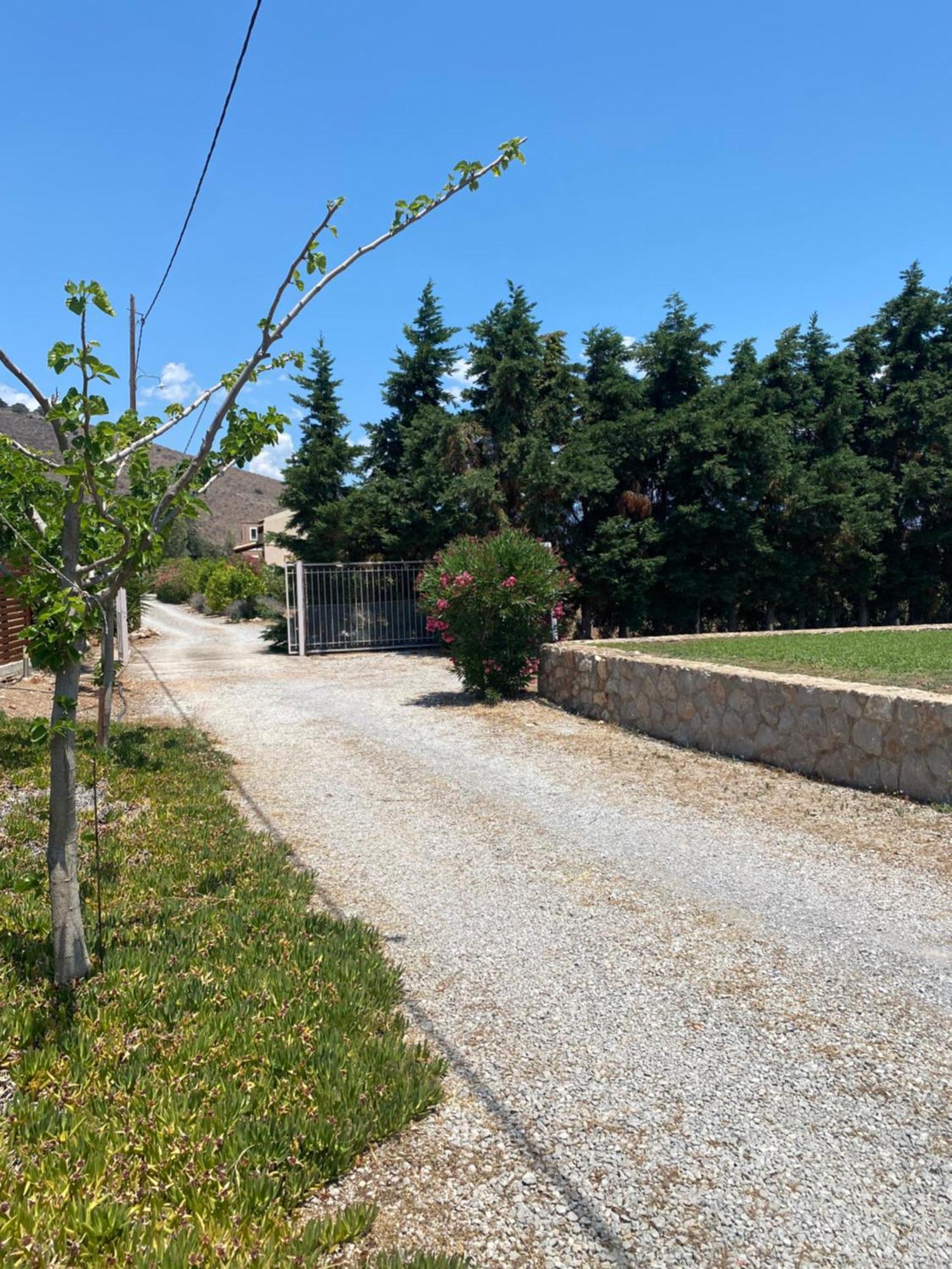 Georges Villa Galaxidi, Family, Pool And Garden Екстериор снимка